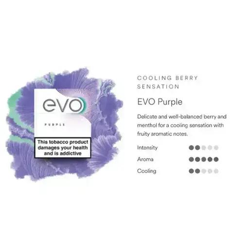 Ploom Evo Tobacco Sticks Purple