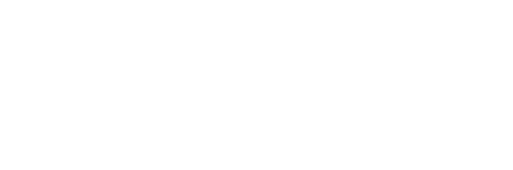 Freesmo logo 2026 dark